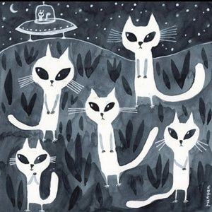 Meet your Posher, Hazel